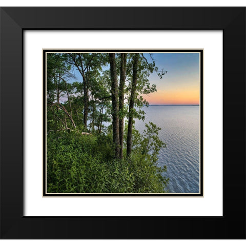 Oak Trees at Eisenhower Lake Black Modern Wood Framed Art Print with Double Matting by Fitzharris, Tim