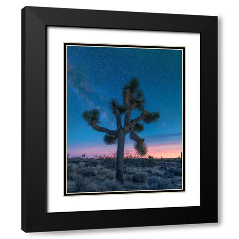 Milky Way at Joshua Tree National Park Black Modern Wood Framed Art Print with Double Matting by Fitzharris, Tim