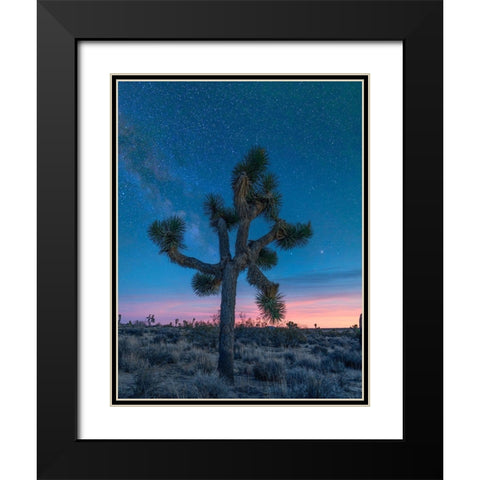 Milky Way at Joshua Tree National Park Black Modern Wood Framed Art Print with Double Matting by Fitzharris, Tim