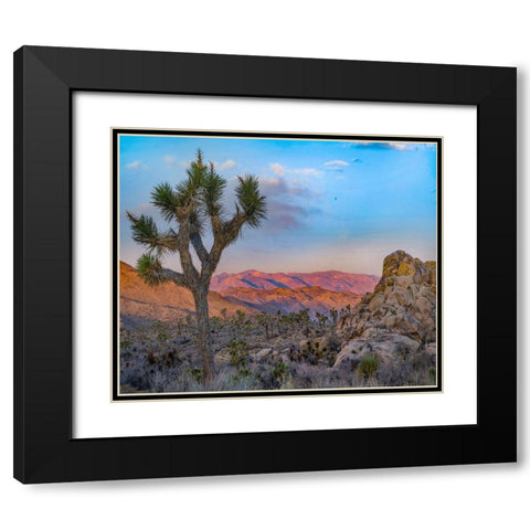 Joshua Trees at Lost Horse Valley Black Modern Wood Framed Art Print with Double Matting by Fitzharris, Tim