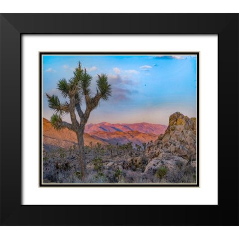 Joshua Trees at Lost Horse Valley Black Modern Wood Framed Art Print with Double Matting by Fitzharris, Tim