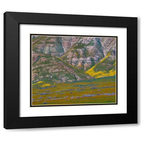 Wildflower Bloom  Black Modern Wood Framed Art Print with Double Matting by Fitzharris, Tim