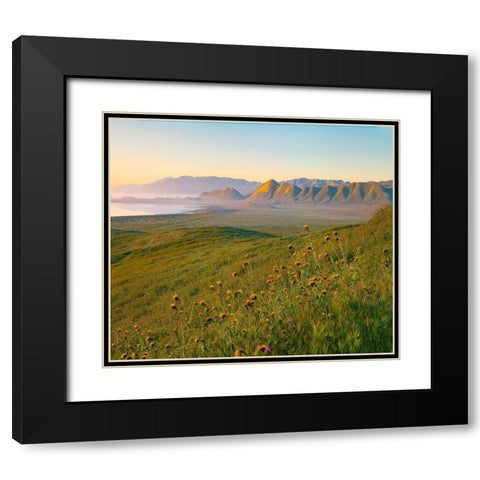 Sunrise at Soda Lake Black Modern Wood Framed Art Print with Double Matting by Fitzharris, Tim