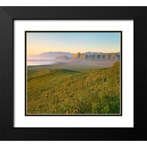 Sunrise at Soda Lake Black Modern Wood Framed Art Print with Double Matting by Fitzharris, Tim