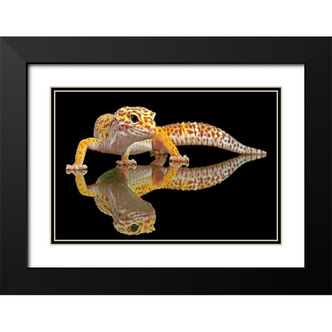 Leopard Gecko Black Modern Wood Framed Art Print with Double Matting by Oesin, Dikky