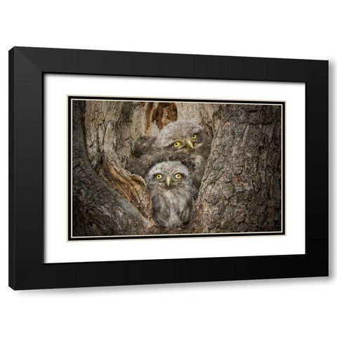 Civ and Civ Black Modern Wood Framed Art Print with Double Matting by Ghizzi Panizza, Alberto