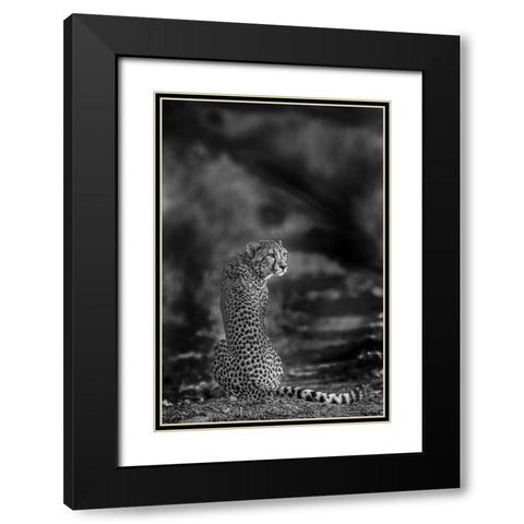 The look back Black Modern Wood Framed Art Print with Double Matting by Marx, Jaco