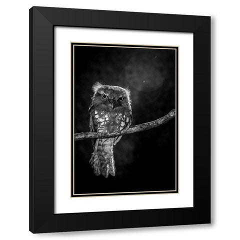 Alone in the night Black Modern Wood Framed Art Print with Double Matting by Wilianto