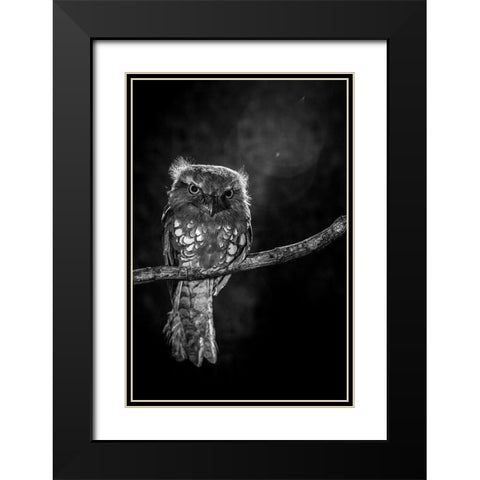 Alone in the night Black Modern Wood Framed Art Print with Double Matting by Wilianto