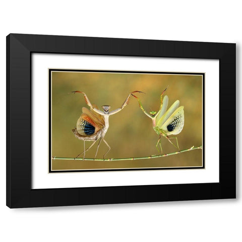 Show Time Black Modern Wood Framed Art Print with Double Matting by Baglar, Hasan