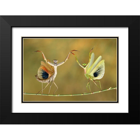 Show Time Black Modern Wood Framed Art Print with Double Matting by Baglar, Hasan