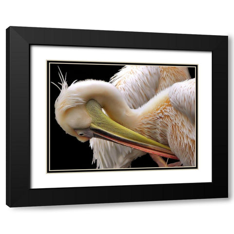 Toileting... Black Modern Wood Framed Art Print with Double Matting by Dufour, Thierry