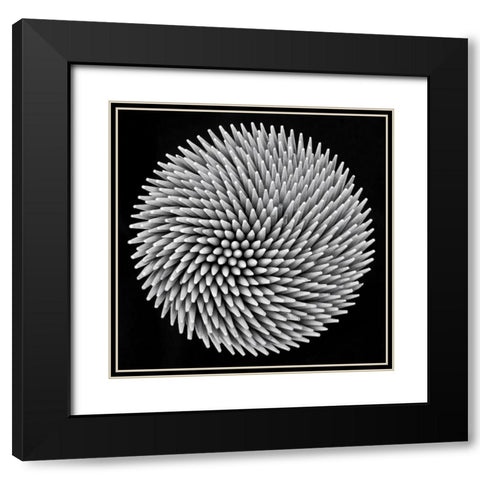 hypnosis Black Modern Wood Framed Art Print with Double Matting by Toniolo, Giorgio