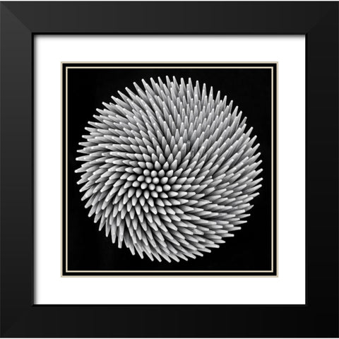 hypnosis Black Modern Wood Framed Art Print with Double Matting by Toniolo, Giorgio