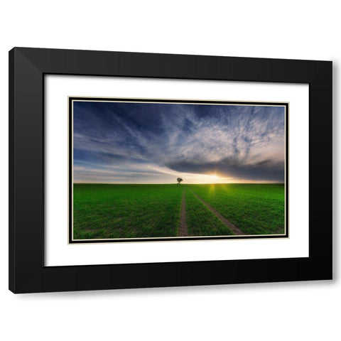 loner in the sun Black Modern Wood Framed Art Print with Double Matting by Krol (Bax), Piotr