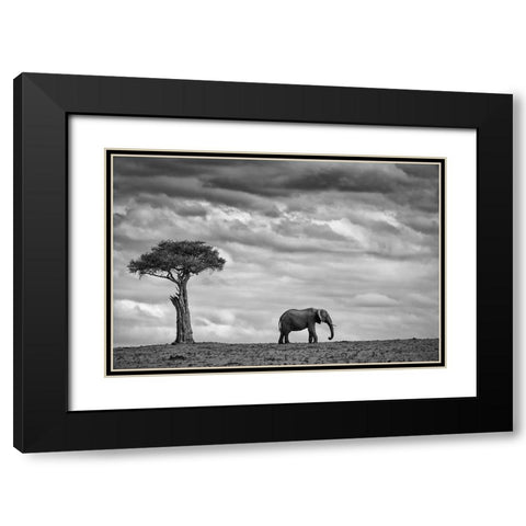 Elephant Landscape Black Modern Wood Framed Art Print with Double Matting by Moreno, Mario