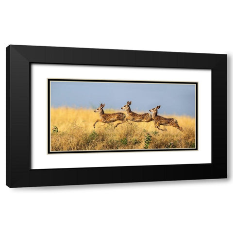 Tripple Jump Black Modern Wood Framed Art Print with Double Matting by Verdon