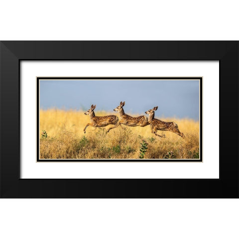 Tripple Jump Black Modern Wood Framed Art Print with Double Matting by Verdon