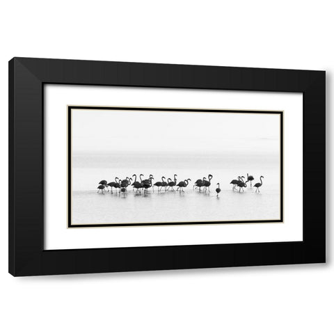 Flamingos Black Modern Wood Framed Art Print with Double Matting by Gil Raga, Joan