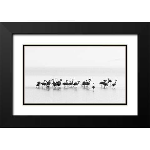 Flamingos Black Modern Wood Framed Art Print with Double Matting by Gil Raga, Joan
