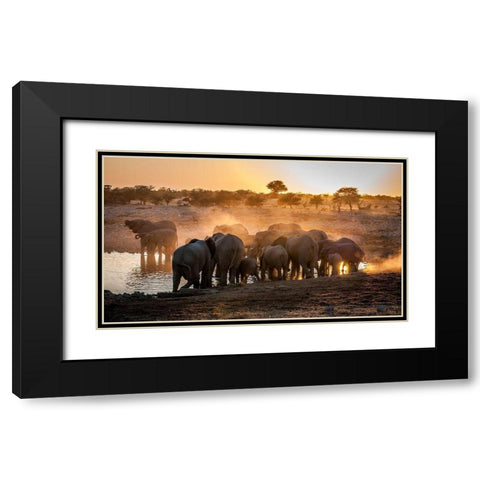 Elephant huddle Black Modern Wood Framed Art Print with Double Matting by Van Ooijen, Simon