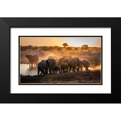 Elephant huddle Black Modern Wood Framed Art Print with Double Matting by Van Ooijen, Simon