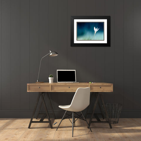 Lonely Black Modern Wood Framed Art Print with Double Matting by Reindl, Doris