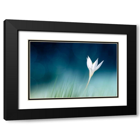 Lonely Black Modern Wood Framed Art Print with Double Matting by Reindl, Doris