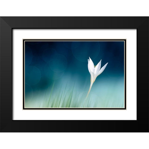 Lonely Black Modern Wood Framed Art Print with Double Matting by Reindl, Doris