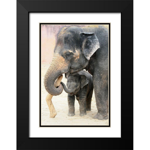 TWO Black Modern Wood Framed Art Print with Double Matting by Wenner-Braun, Antje