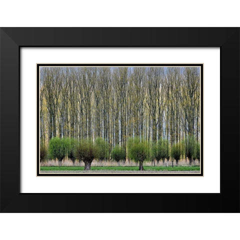 Layers Black Modern Wood Framed Art Print with Double Matting by Van Maastricht, Henk