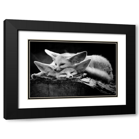 The happy couple Black Modern Wood Framed Art Print with Double Matting by Ross Rossi, Ib
