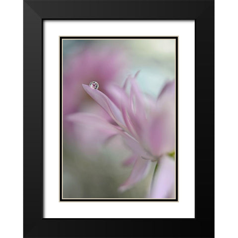 In pink delight Black Modern Wood Framed Art Print with Double Matting by Westum, Heidi