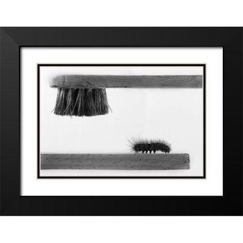 dear friend Black Modern Wood Framed Art Print with Double Matting by Mallus, Stefano