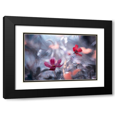 Une autre fleur, une autre histoire Black Modern Wood Framed Art Print with Double Matting by Bravin, Fabien