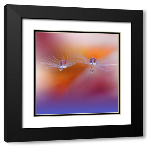 Two Worlds Black Modern Wood Framed Art Print with Double Matting by Nan, Juliana