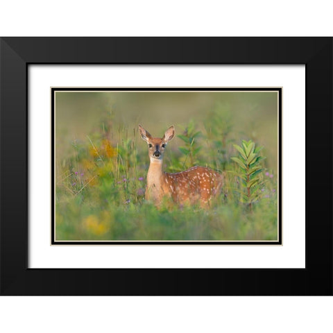 Fragrance of Summer Black Modern Wood Framed Art Print with Double Matting by Kalathas, Nick