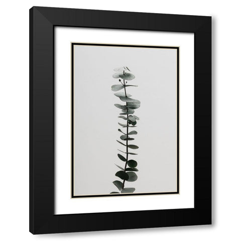 Eucalyptus Natural 02 Black Modern Wood Framed Art Print with Double Matting by Artographie Studio