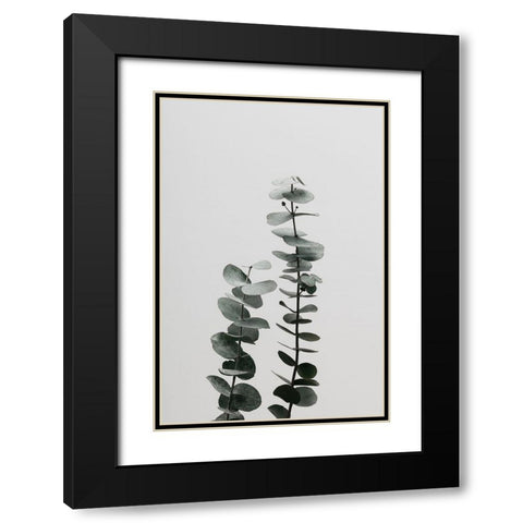 Eucalyptus Natural 03 Black Modern Wood Framed Art Print with Double Matting by Artographie Studio