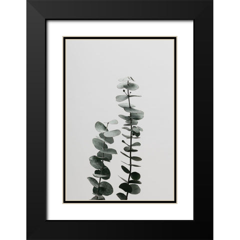 Eucalyptus Natural 03 Black Modern Wood Framed Art Print with Double Matting by Artographie Studio