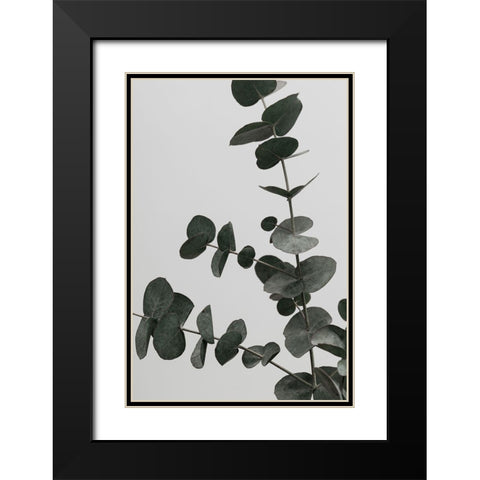 Eucalyptus Natural 05 Black Modern Wood Framed Art Print with Double Matting by Artographie Studio