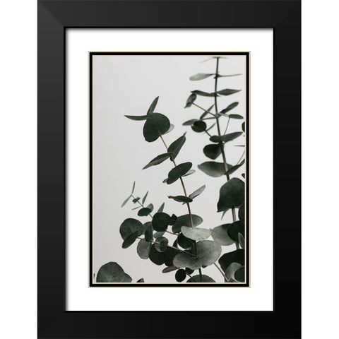 Eucalyptus Natural 08 Black Modern Wood Framed Art Print with Double Matting by Artographie Studio
