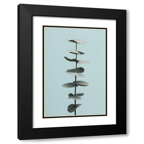 Eucalyptus Blue No 1 Black Modern Wood Framed Art Print with Double Matting by Artographie Studio