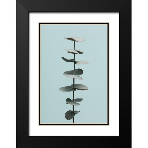 Eucalyptus Blue No 1 Black Modern Wood Framed Art Print with Double Matting by Artographie Studio