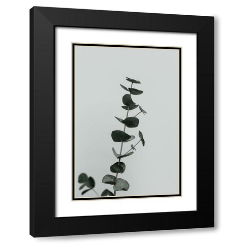Eucalyptus Natural 10 Black Modern Wood Framed Art Print with Double Matting by Artographie Studio