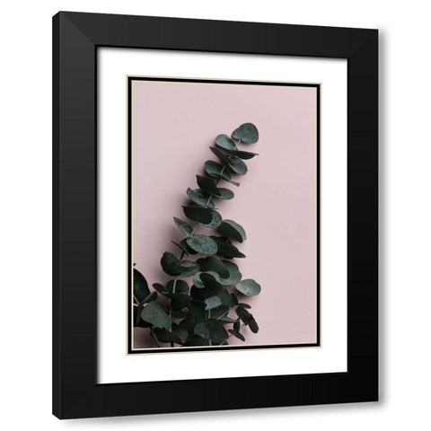 Eucalyptus Pink No02 Black Modern Wood Framed Art Print with Double Matting by Artographie Studio