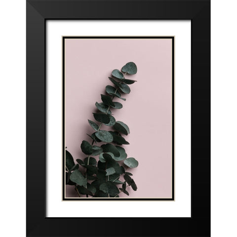 Eucalyptus Pink No02 Black Modern Wood Framed Art Print with Double Matting by Artographie Studio