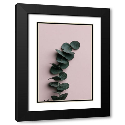 Eucalyptus Pink No 01 Black Modern Wood Framed Art Print with Double Matting by Artographie Studio