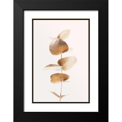 Eucalyptus Gold No 06 Black Modern Wood Framed Art Print with Double Matting by Artographie Studio