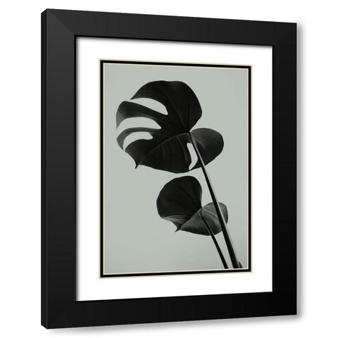 Monstera Teal 01 Black Modern Wood Framed Art Print with Double Matting by Artographie Studio